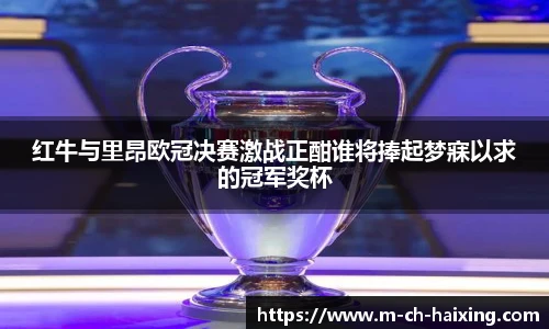 红牛与里昂欧冠决赛激战正酣谁将捧起梦寐以求的冠军奖杯