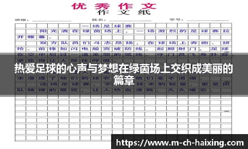 海星体育直播网址