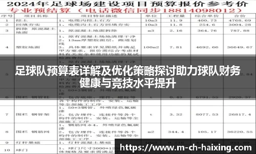 足球队预算表详解及优化策略探讨助力球队财务健康与竞技水平提升
